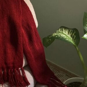 شال ميكاسا الاحمر