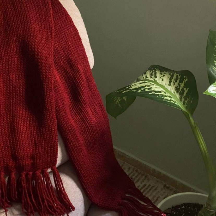 شال ميكاسا الاحمر شال ميكاسا الاحمر